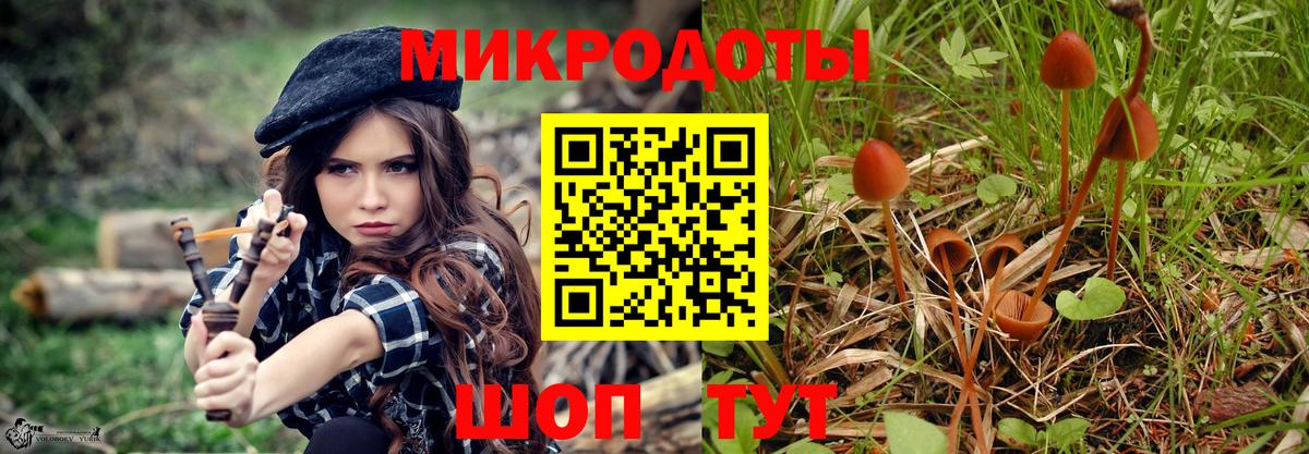 Галлюциногенные грибы MAGIC MUSHROOMS Прохладный